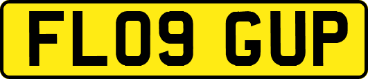 FL09GUP