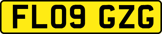 FL09GZG