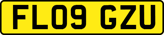 FL09GZU