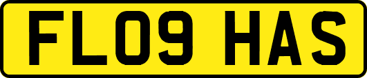 FL09HAS