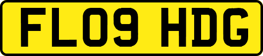 FL09HDG