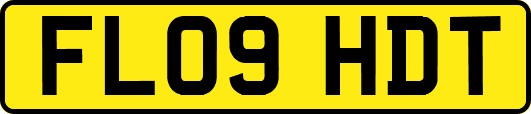 FL09HDT