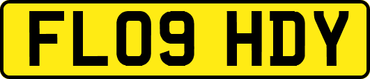 FL09HDY