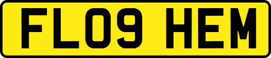 FL09HEM