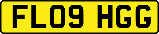 FL09HGG