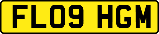 FL09HGM