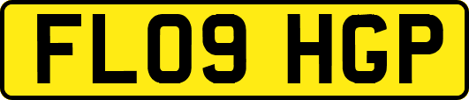 FL09HGP