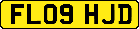 FL09HJD