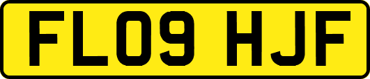 FL09HJF