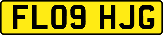 FL09HJG