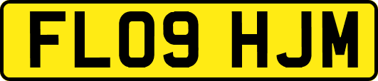 FL09HJM