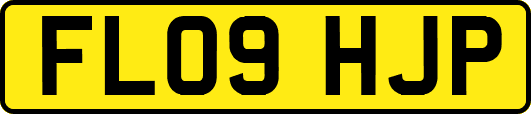 FL09HJP