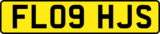 FL09HJS