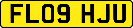 FL09HJU