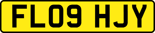 FL09HJY