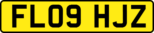 FL09HJZ