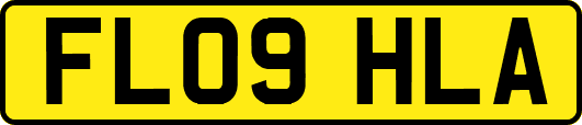 FL09HLA