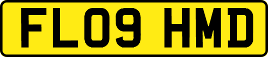 FL09HMD