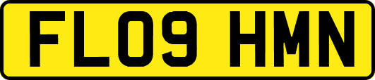 FL09HMN