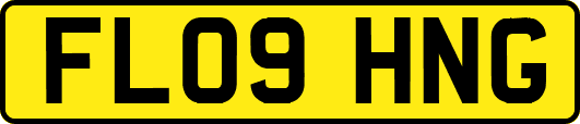 FL09HNG