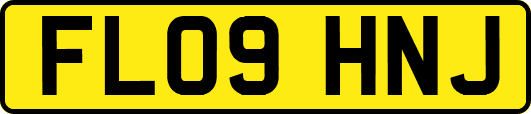 FL09HNJ