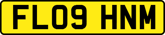 FL09HNM