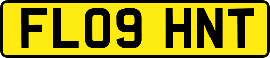 FL09HNT