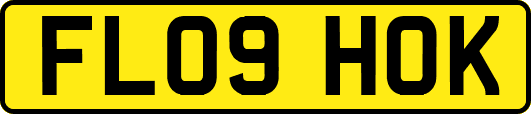 FL09HOK