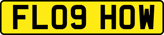 FL09HOW