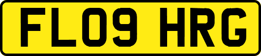 FL09HRG