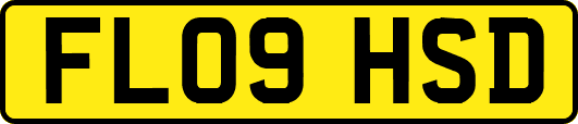 FL09HSD