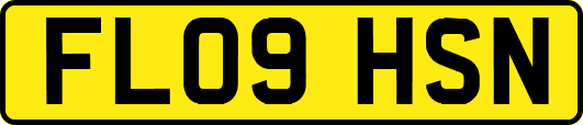 FL09HSN