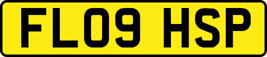 FL09HSP