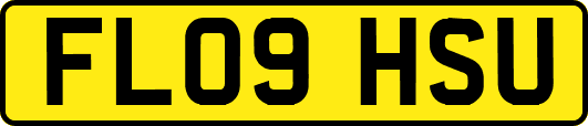 FL09HSU