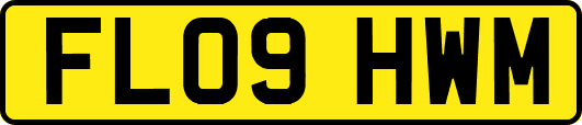 FL09HWM