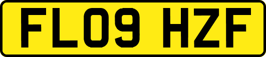 FL09HZF