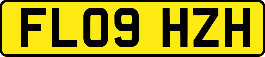 FL09HZH
