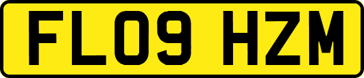FL09HZM