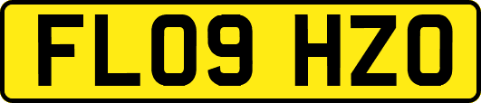 FL09HZO