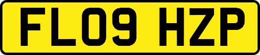 FL09HZP