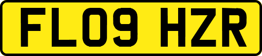 FL09HZR