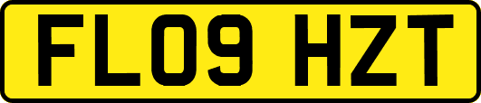 FL09HZT