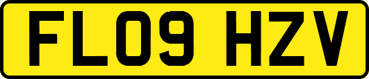 FL09HZV
