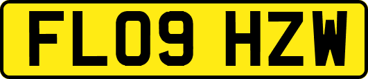 FL09HZW