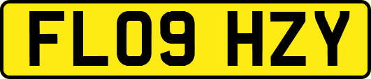 FL09HZY