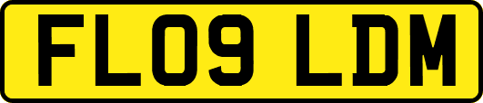 FL09LDM