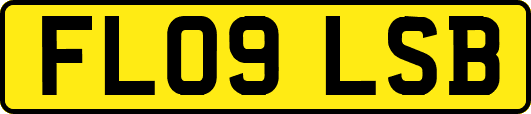 FL09LSB