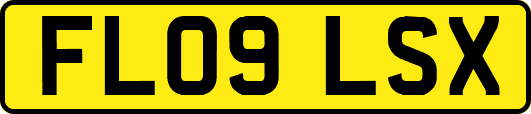 FL09LSX