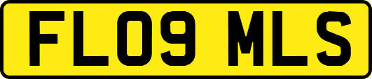 FL09MLS