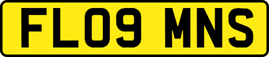 FL09MNS